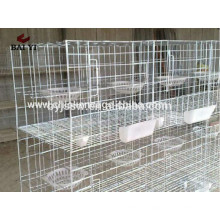 Cage industrielle de pigeon bon marché de haute qualité